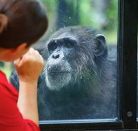 The Rockhampton Zoo - Attractions