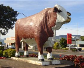 Rockhampton Bull Statues - Attractions 2