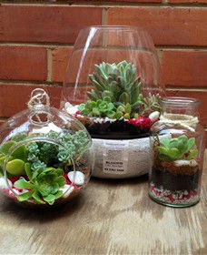 Blooms On Bridge - Attractions 6