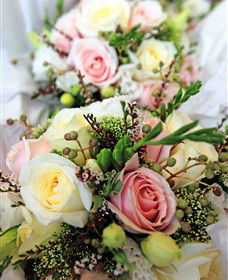 Blooms On Bridge - Attractions 7