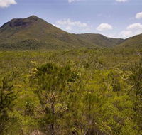 Kutini-Payamu Iron Range National Park CYPAL - Attractions