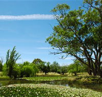 Wirraminna Environmental Education Centre - Attractions