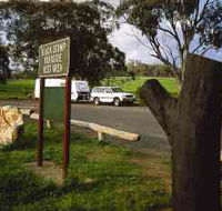 Black Stump Rest Area - Attractions