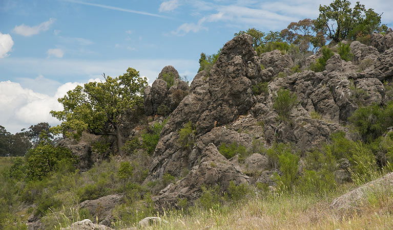 Lidster NSW Attractions