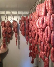 Buronga Organics - Coota - Attractions 1