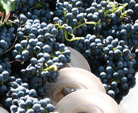 Orange Mountain Wines - Attractions 2