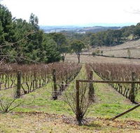 Habitat Vineyard - Attractions