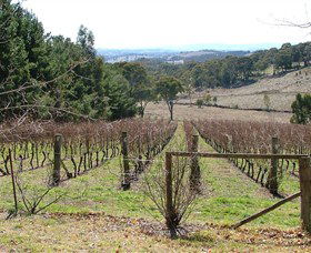 Habitat Vineyard - Attractions 0