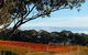 Bloodwood Estate - thumb 0