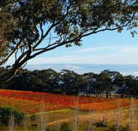 Bloodwood Estate - Attractions