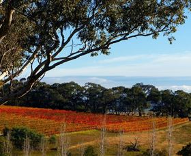 Bloodwood Estate - Attractions 0