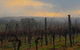 Bloodwood Estate - thumb 1