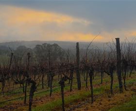 Bloodwood Estate - Attractions 1