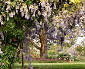Wombat Heights Orchard And Grog Shed - Attractions 2