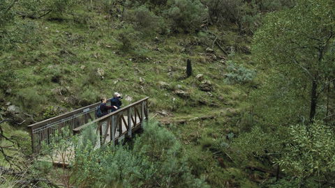 Mount Canobolas State Conservation Area - Attractions 3