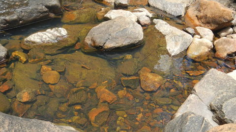 Mount Canobolas State Conservation Area - Attractions 2