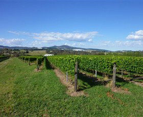 Hedberg Hill Wines - Attractions 0