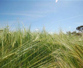 150 Degrees East Meridian - Attractions Las Vegas 0