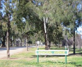Memorial Avenue In Cowra - Attractions 1