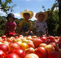 Bonny Glen Fruits - Attractions