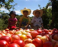 Bonny Glen Fruits