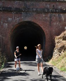 Cheviot Tunnel - Attractions 0