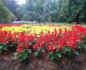 Cook Park - Attractions 1
