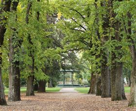 Cook Park - Attractions 0
