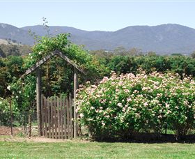 Samaria Farm - Attractions 2