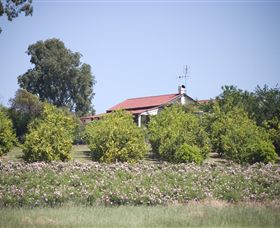 Samaria Farm - Attractions 0