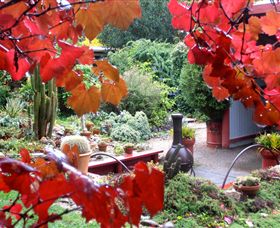 Out Of Town Nursery And Humming Garden - Attractions 1