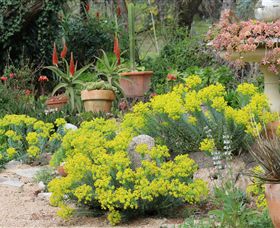 Out Of Town Nursery And Humming Garden - Attractions 8