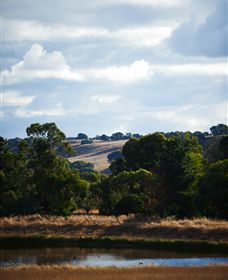 Brae - Attractions 4