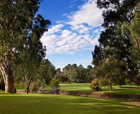 Commercial Golf Course - Attractions 0