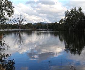 Wonga Wetlands - Attractions 1