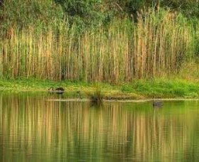 Wonga Wetlands - Attractions 2