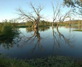 Wonga Wetlands - Attractions 4