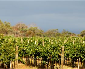 Amulet Vineyard And Beechworth Cider - Attractions 7