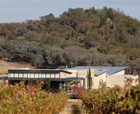 Amulet Vineyard And Beechworth Cider - Attractions 8