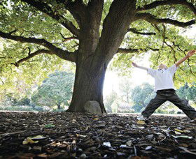 Albury Botanic Gardens - Attractions 1