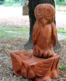 Albury Botanic Gardens - Attractions 7