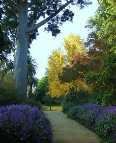 Albury Botanic Gardens - Attractions 4