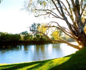 Albury - Murray River Precinct - Attractions 0