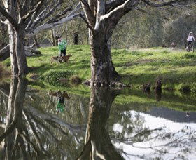 Albury - Murray River Precinct - Attractions 3