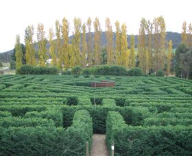 Brookfield Maze - Attractions 0