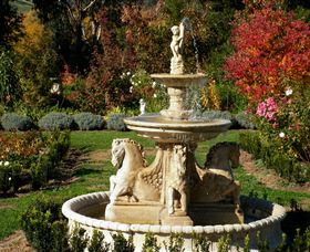 Brookfield Maze - Attractions 5