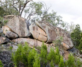 Frog Rock - Attractions 1