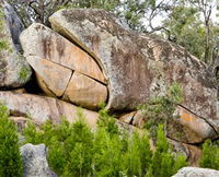 Frog Rock