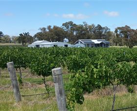 Short Sheep Micro-Winery - Attractions 1