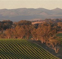 Angullong Wines - Attractions